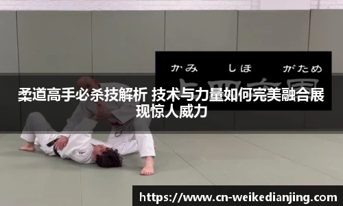 柔道高手必杀技解析 技术与力量如何完美融合展现惊人威力